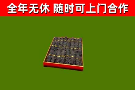 吉首市回收海参